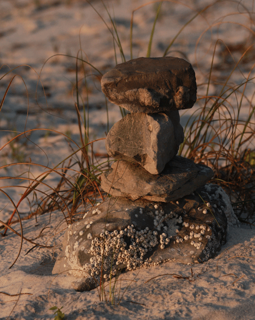 Beach Sculpture