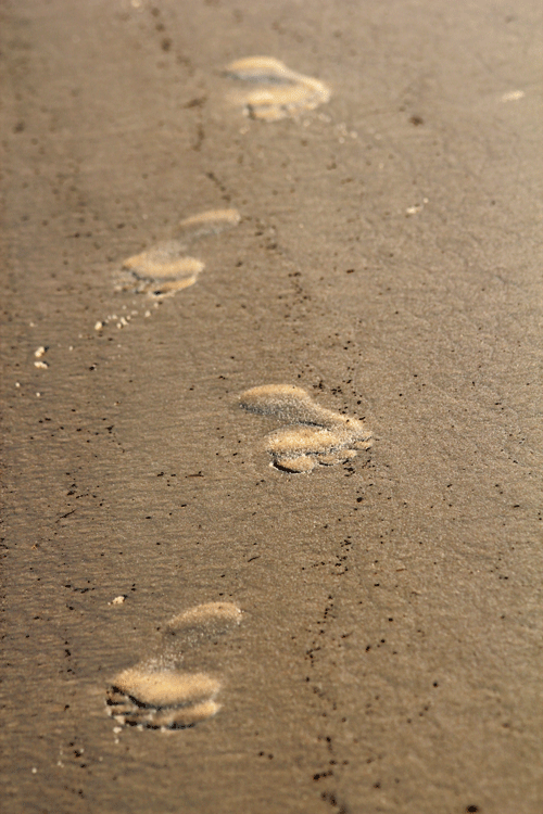 footprints on the beach