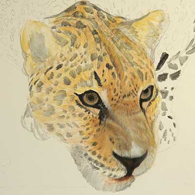 Leopard Painting 2