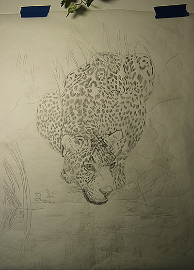 Leopard Sketch