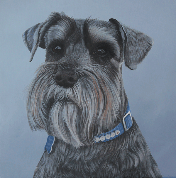 Buster Dog Portrait