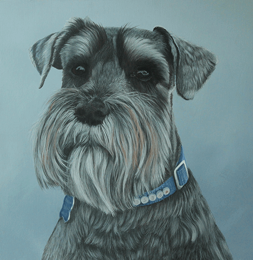 Buster pet portrait