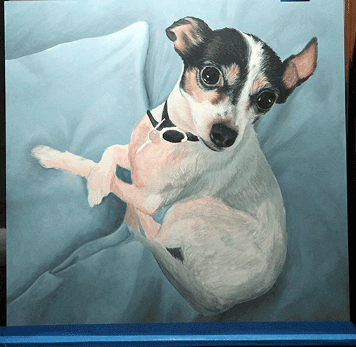 Photo of Wip Dog Portrait