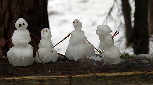 Snow-family