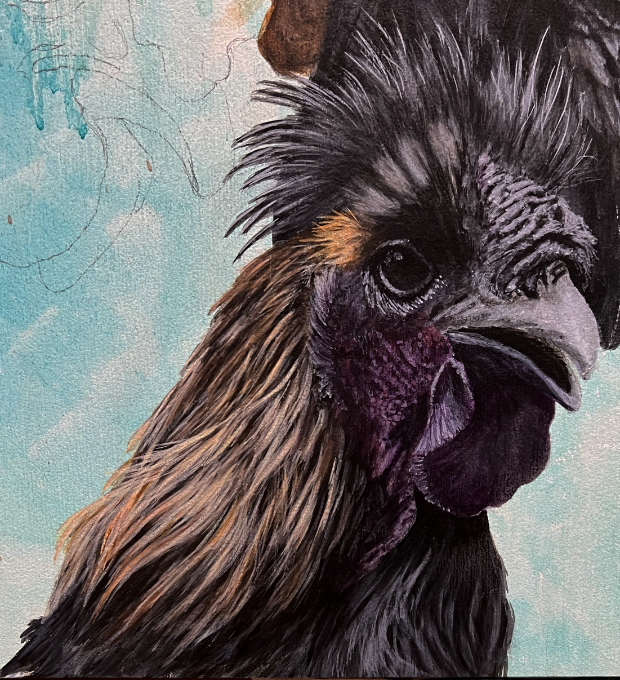 photo of painting of Darth Vader the rooster